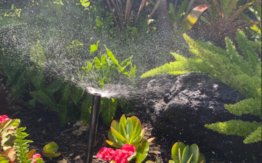 Expert Irrigation’s Sprinkler System Maintenance in Fort Lauderdale, FL To Make Your Life Easier