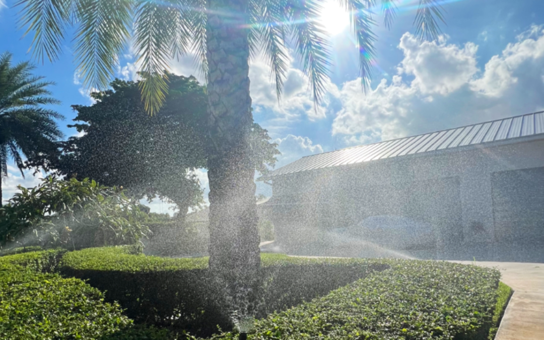 Irrigation System Maintenance in Weston, FL: Show Your Lawn Some Love